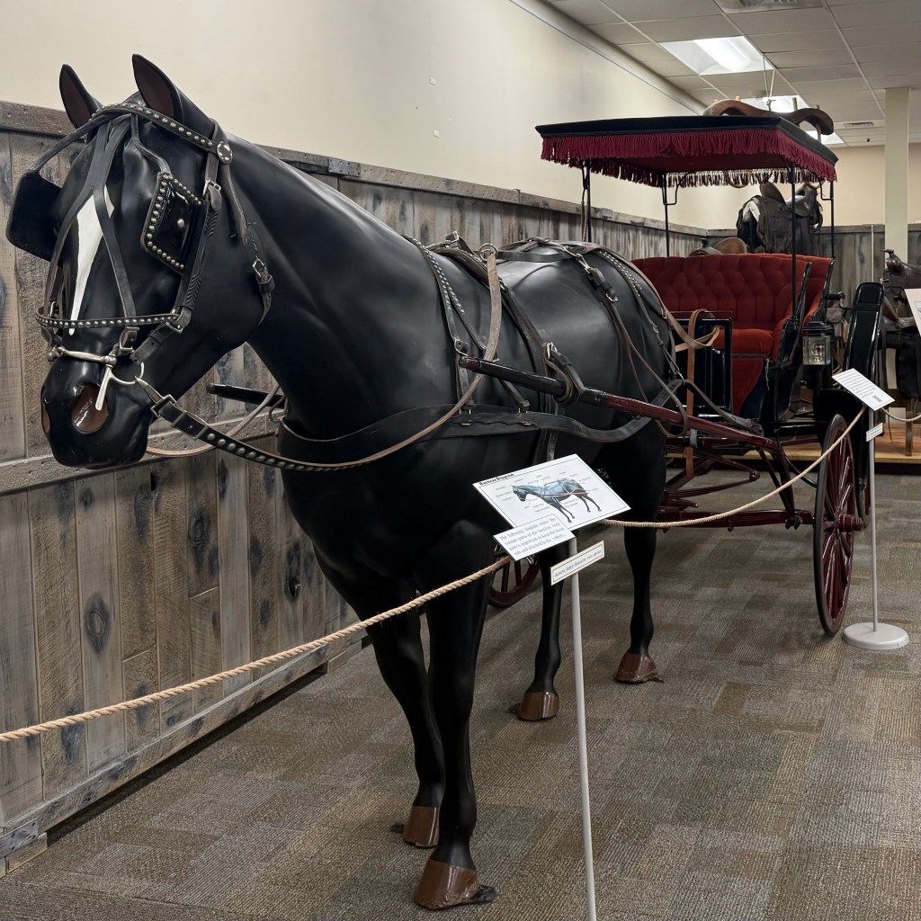 Photo of an exhibit in the museum.
